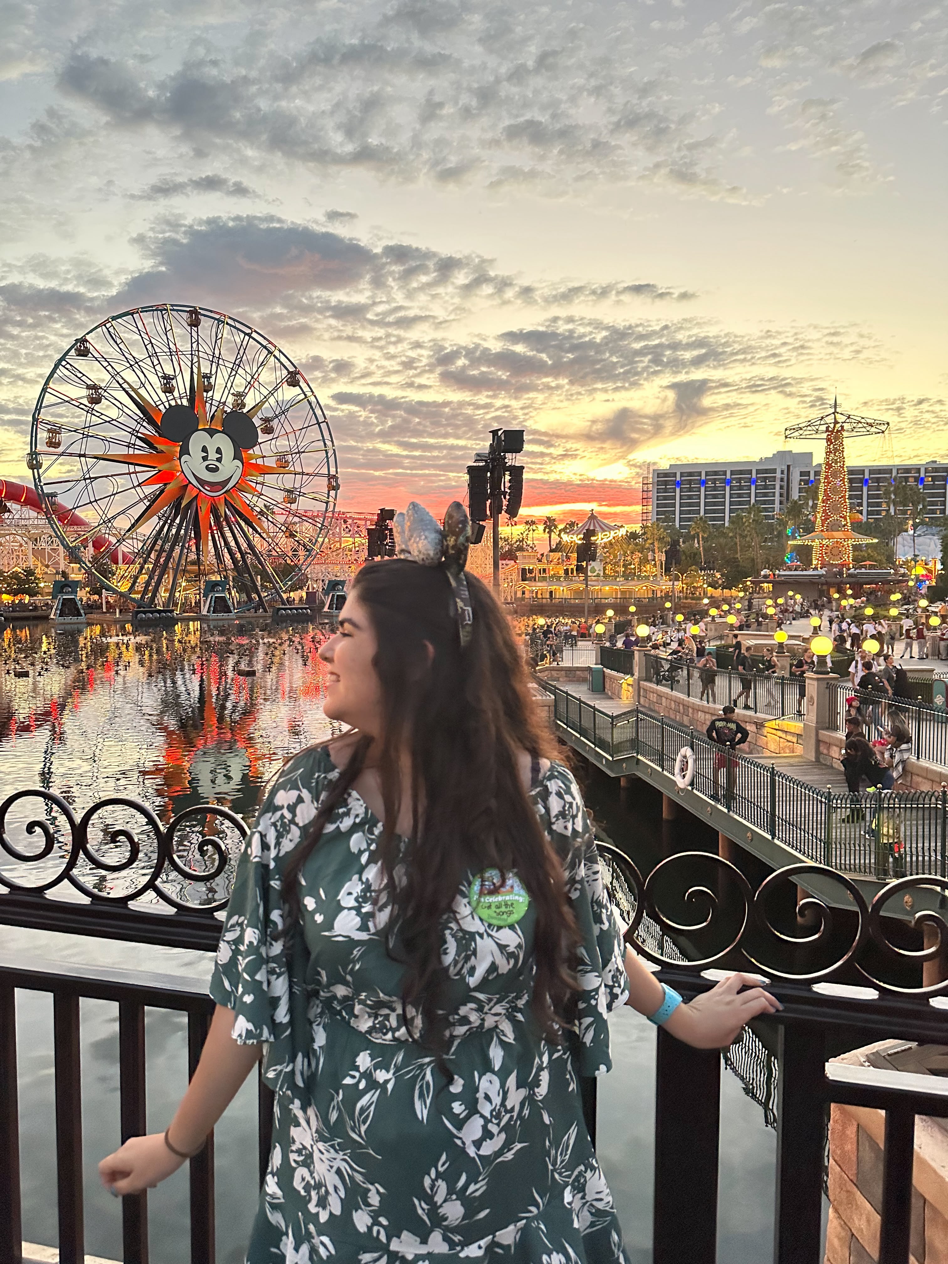 Disney California Adventure