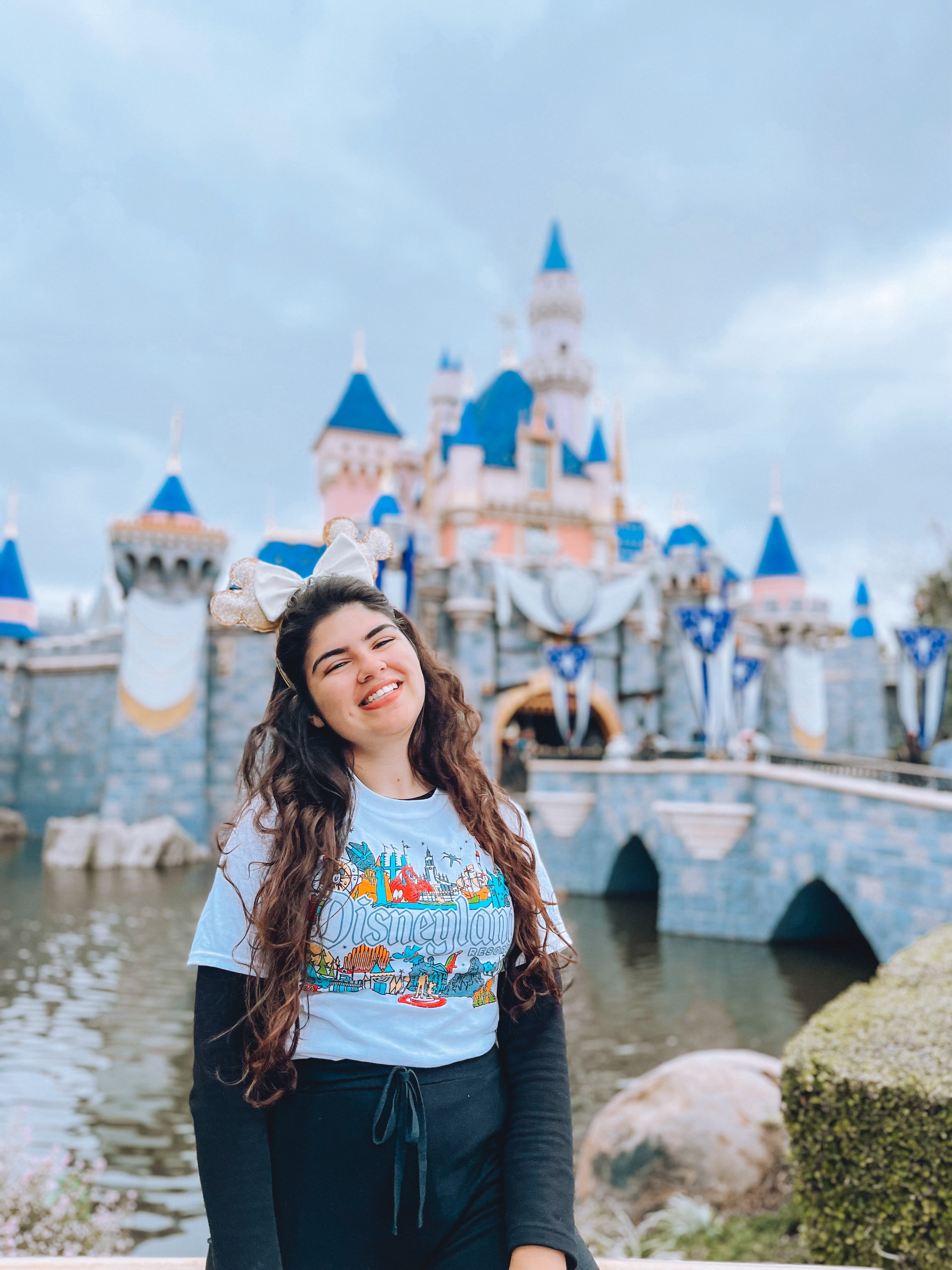 Disneyland Park